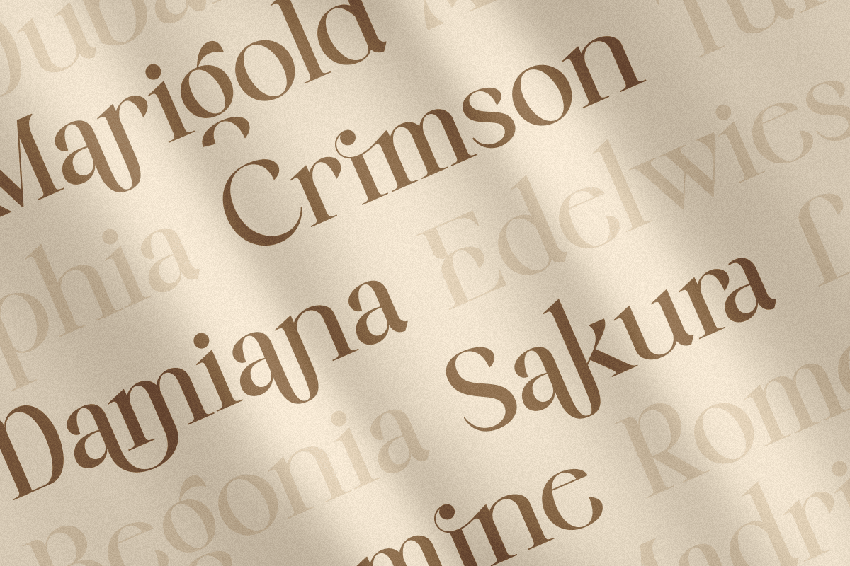 Emira - Unique Luxury Logo Font, a Serif Font by Sensatype (Photo 8 of 12)