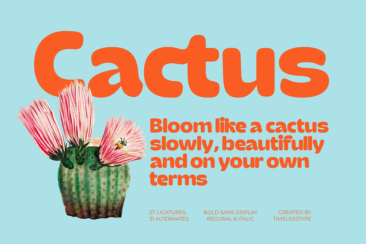 Gemst Retro Bold Display Sans, a Sans Serif Font by timelesstype.co (Photo 5 of 15)