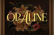 Opaline – Display Serif Script