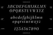 Dupioni - 6 font family, a Serif Font by Silktype (Thumbnail 20 of 21)