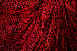 The Net