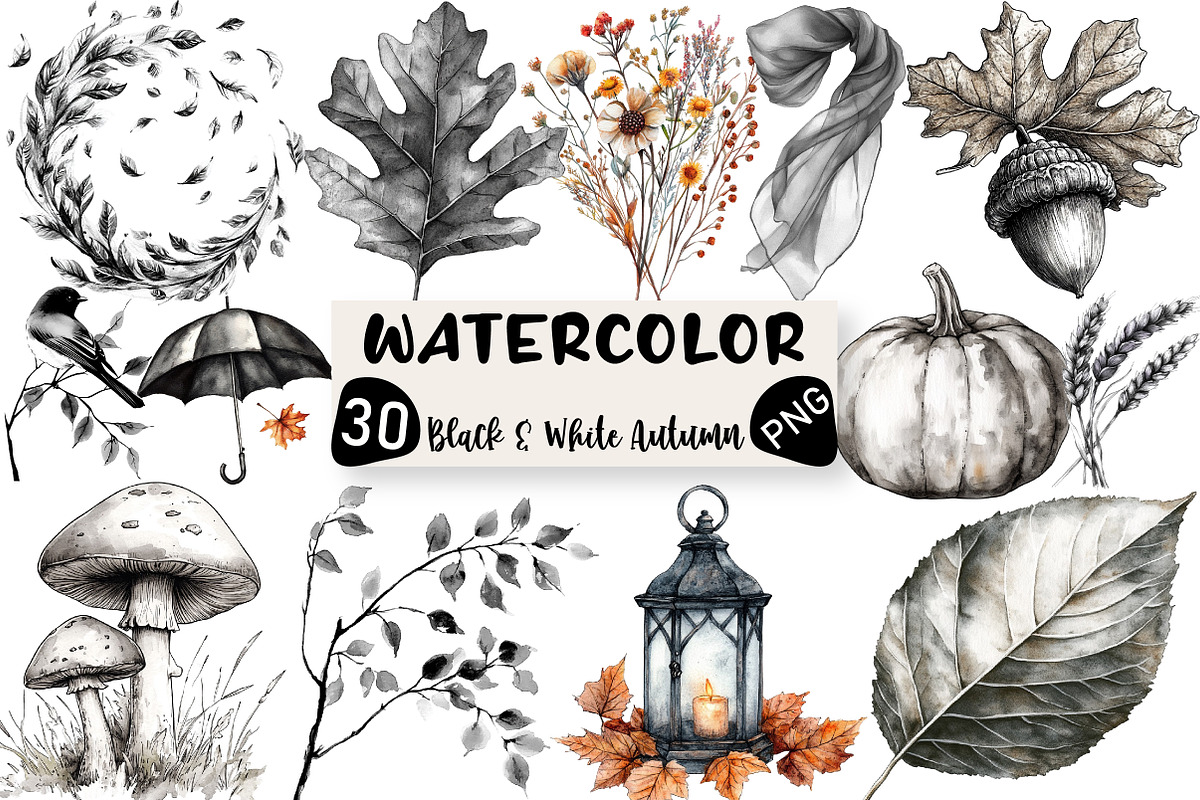 Black & White Autumn Clipart, an Illustration by Black Bird Studio (Photo 1 of 6)