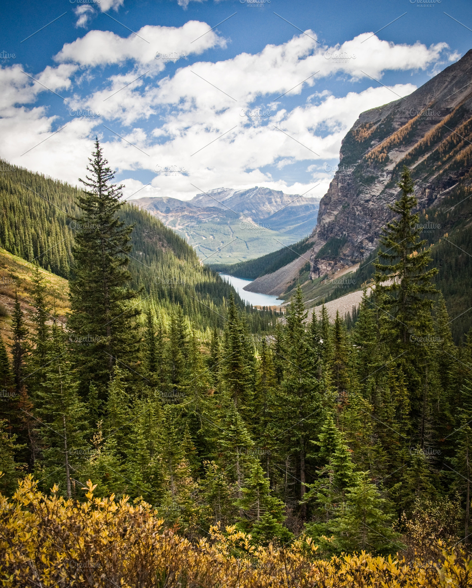 Hike From Lake Louise
