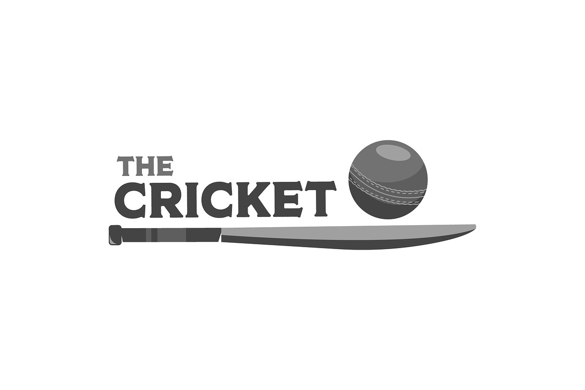 Cricket bat and ball logo vector, a Branding & Logo Template by Pyruos ID