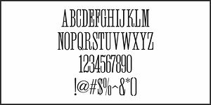 Wood Serif Poster JNL