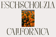 Belinda Rosalind, a Serif Font by Cruzine (Thumbnail 5 of 9)