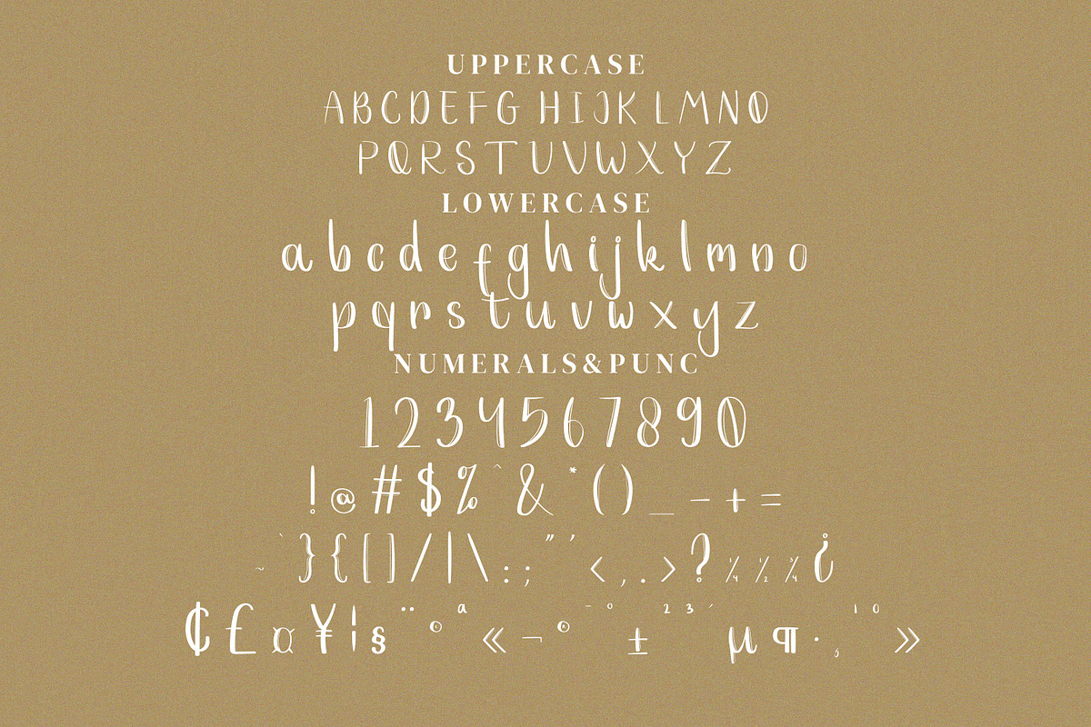 Evellyn Fonts, a Script Font by mahstudios