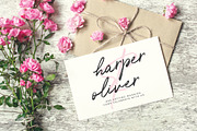 Paradise Thoughts Typeface, a Script Font by Mats-Peter Forss (Thumbnail 5 of 9)