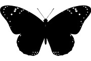 Butterfly Silhouette Bundle, an Object Graphic by Designer_Momina (Thumbnail 17 of 20)