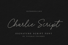 Charlie Script Font