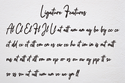 Addison Brother, a Script Font by NJ Studio (Thumbnail 11 of 12)