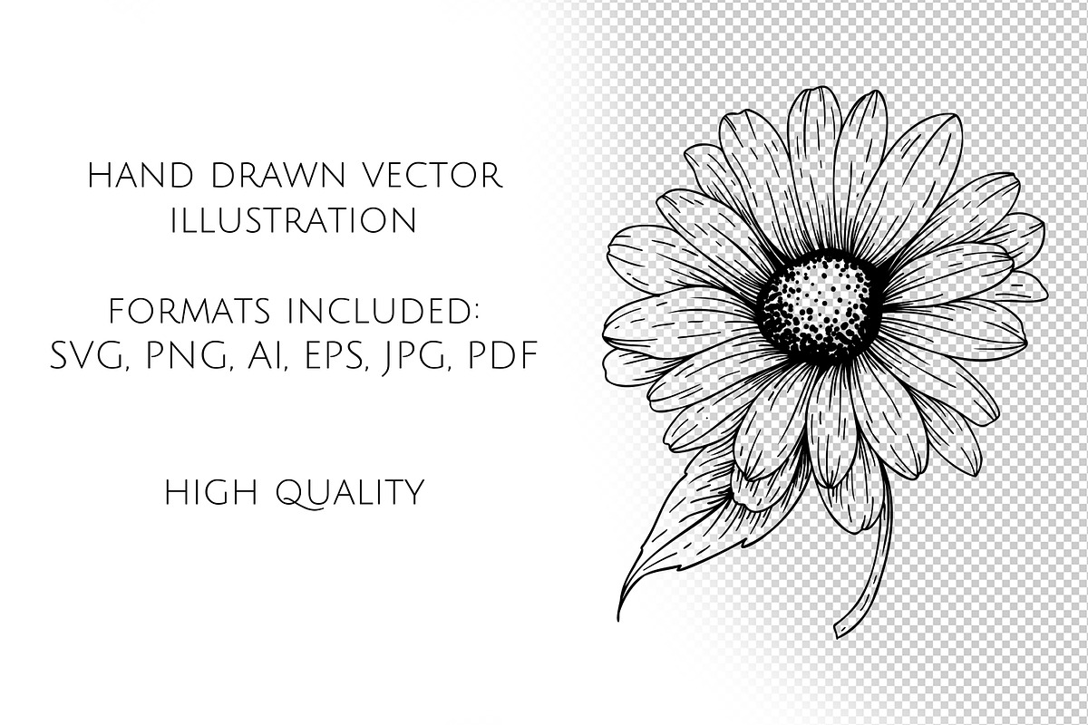 Daisy Flowers Line Art SVG, an Object Graphic by Dervik Art Store (Photo 7 of 8)