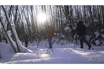 People on a forest ski walk, concept, a Sports & Recreation Photo by Media Whale Stock