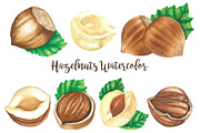 Hazelnuts Watercolors Illustration, an Illustration by andypray (Thumbnail 4 of 5)