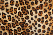 Safari Animals Skin Print Texture, a Graphic by UniqueMe (Thumbnail 9 of 21)