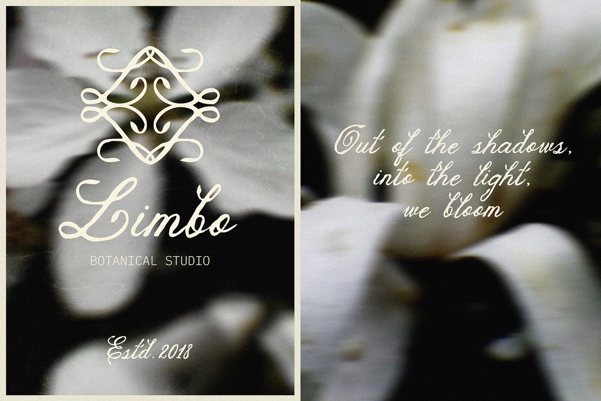 The Blooming Hour Botanical Script, a Script Font by AnMark (Photo 3 of 12)