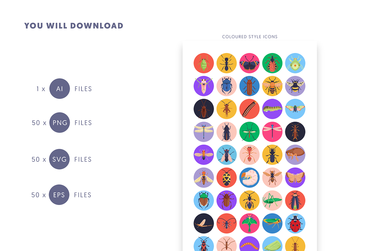 50 Insects and Bugs Icons, an Outline Icon by Dighital (Photo 10 of 10)