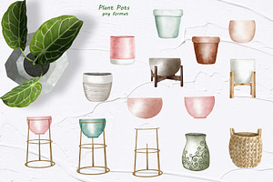 Philodendron Plans Watercolor Set