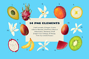 Tropical Fruit Clipart & Patterns, a Decorative Illustration by StudioLapis (Thumbnail 2 of 6)