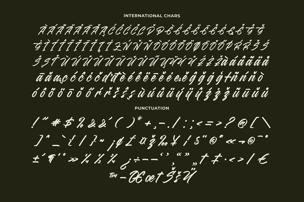 Madena Vintage Bold Script Font, a Script Font by Letterena Studios Script (Photo 17 of 20)