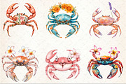 Cute Floral Crab Clipart, an Illustration by Rose Art (Thumbnail 3 of 4)