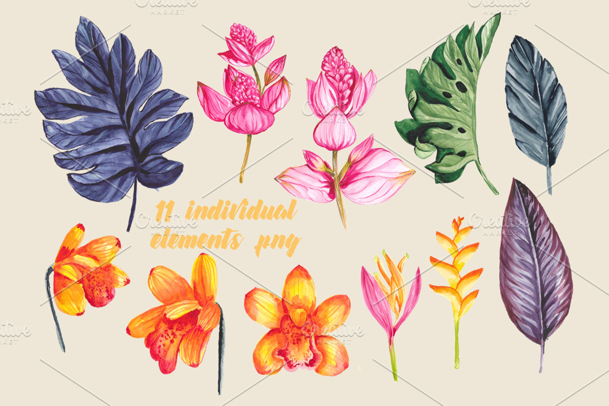 Tropicala, an Illustration by Charushella (Photo 2 of 4)