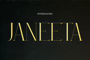 JANEETA, a Serif Font by TokoPress (Thumbnail 1 of 10)
