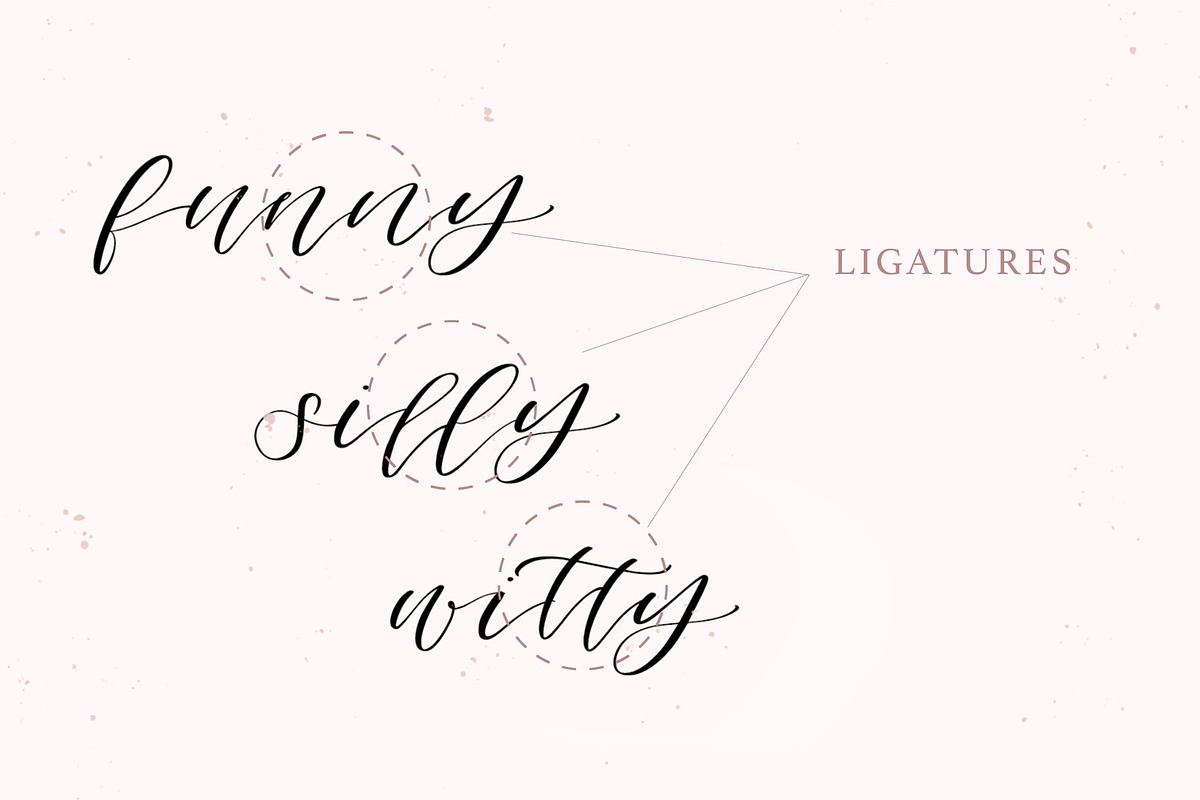 Columbidae Elegant Calligraphy Font preview 3