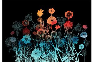 colorful abstract flower on a black, an Illustration by Nenahliadava Design