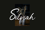 Tropical Streamline Handwritten Font, a Handwritten Font by UICreative (Thumbnail 3 of 13)