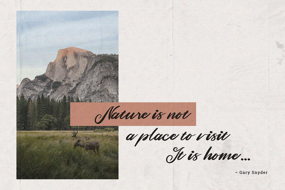 Romane | Classic Handwritten Script, a Handwritten Font by Ardana Creative (Photo 4 of 11)
