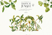 Tropical jungle - watercolor set, a Decorative Illustration by Pamyatka Shop (Thumbnail 5 of 27)