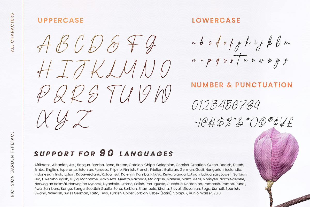 Richsign Style, a Script Font by din-studio.com (Photo 9 of 11)
