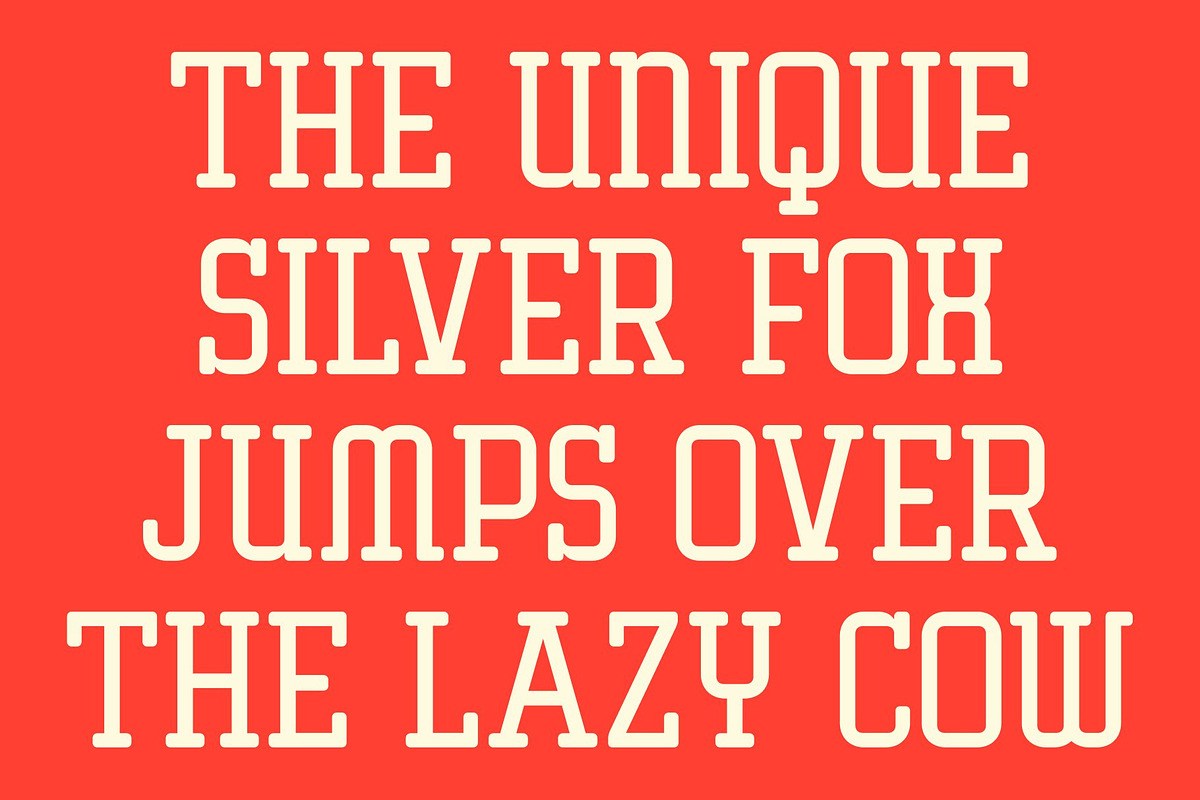 CS Akrone – Slab Serif Font, a Slab Serif Font by Craft Supply Co. (Photo 6 of 8)