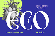 NCL Saigefy Cebahixa - Modern Serif, a Serif Font by Enxyclo Studio (Thumbnail 3 of 10)
