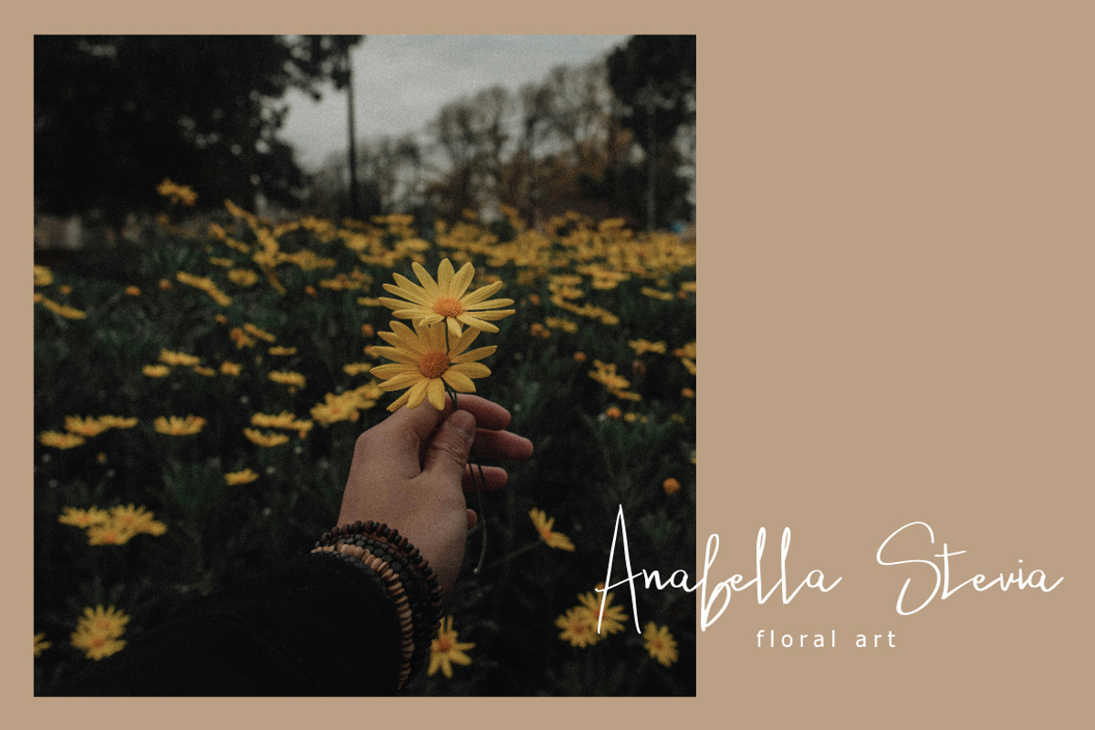 Yourvika Signature, a Handwritten Font by Eltypesstudio (Photo 2 of 11)