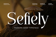 Sefiely - Modern Serif Font, a Serif Font by Flawless And Co (Thumbnail 1 of 10)