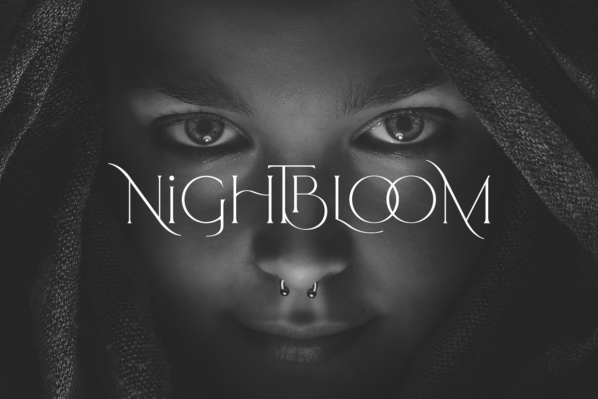 Arrogant Font, a Serif Font by Graphicdome (Photo 10 of 24)