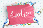 The Slowbird - Typeface, a Script Font by Layerform (Thumbnail 3 of 6)