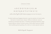 Sichuan, a Serif Font by Sofia Skoog (Thumbnail 9 of 10)