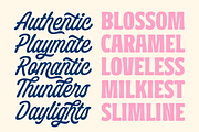 Dreamy Holiday - Font Duo, a Script Font by Abbasy Studio (Thumbnail 5 of 11)