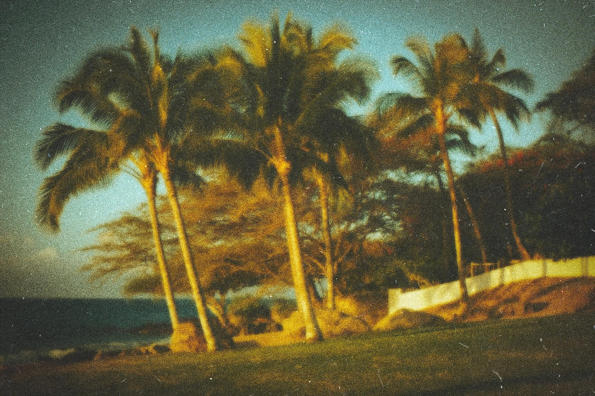 Nostalgic Film Photo Effect, a Layer Style Add-On by Design Squad (Photo 3 of 7)