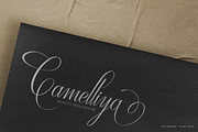 Defalliya | Wedding Calligraphy, a Script Font by Denustudios (Thumbnail 4 of 12)