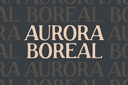 Roadster - Rough Display, a Script Font by Alpaprana (Thumbnail 3 of 9)