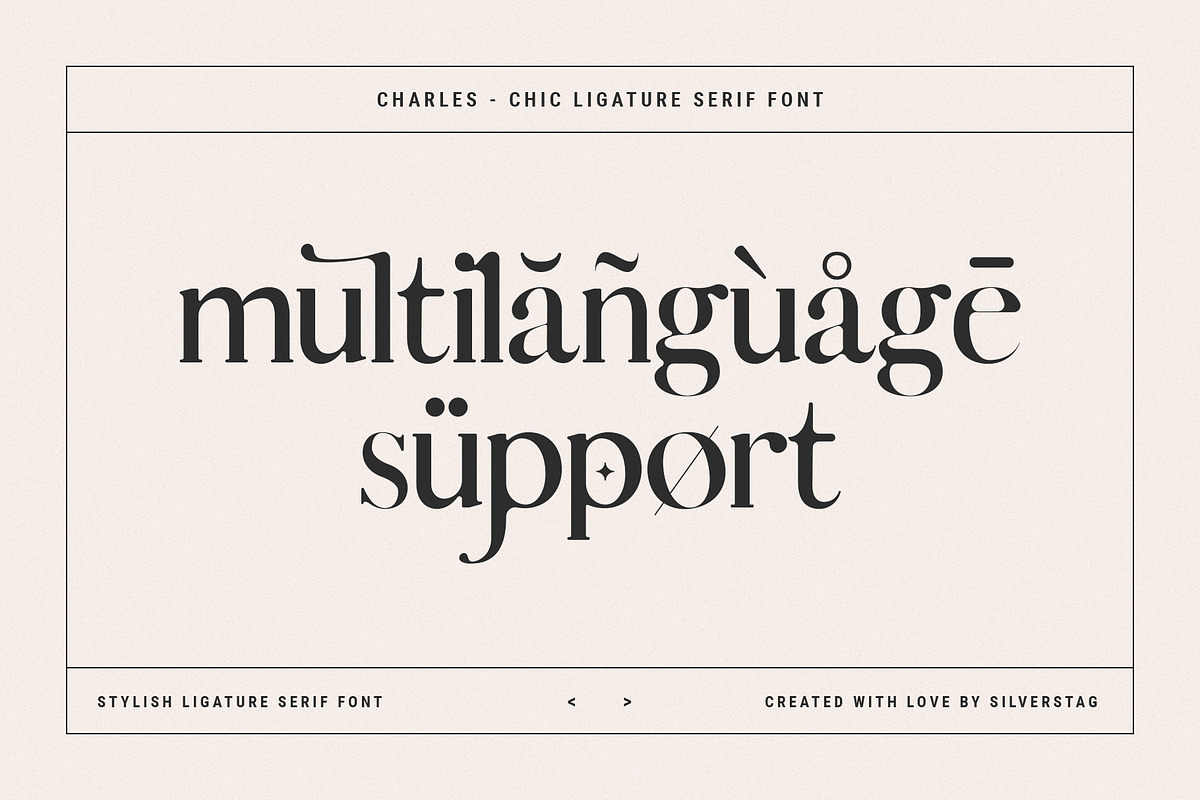 Charles - Chic Ligature Serif Font, a Serif Font by SilverStag Type Foundry (Photo 23 of 31)