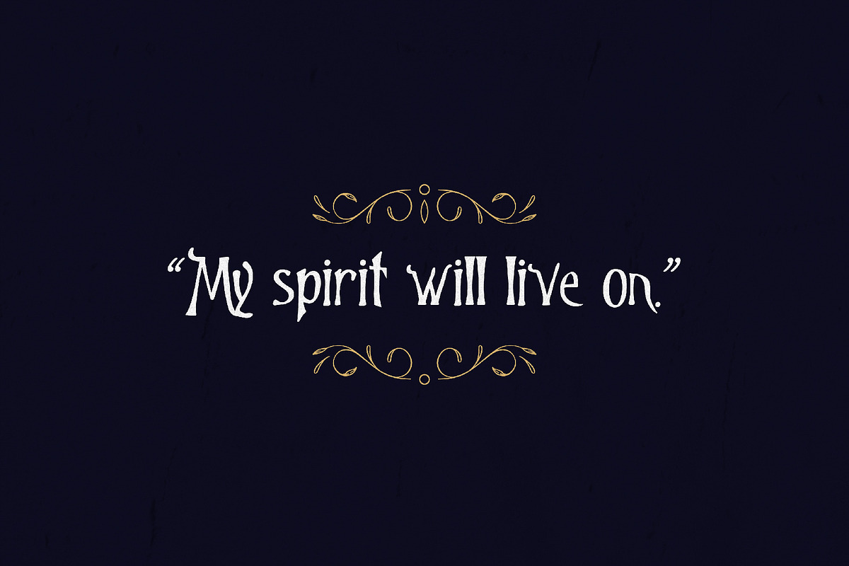 Freebooter - Pirate Display, a Serif Font by HipFonts (Photo 6 of 8)