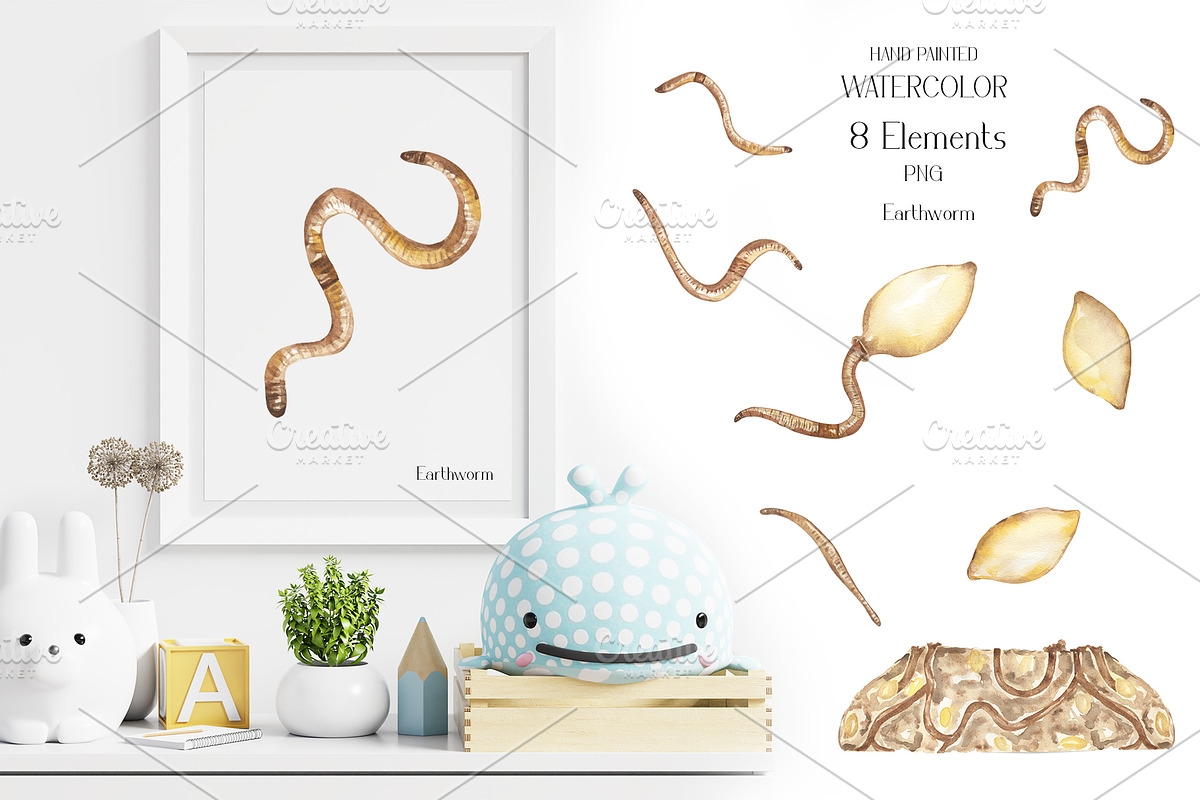 Life Cycle Watercolor Collection, an Education Illustration by MayaNavits (Photo 8 of 12)