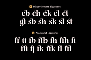 Rasbern — 18 Fonts, a Serif Font by Nasir Udin (Thumbnail 8 of 17)