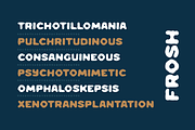 Frosha Fluid Typeface (12 Fonts), a Handwritten Font by alpercakici (Thumbnail 7 of 13)