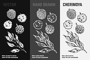 Fruits - hand drawn vector set, a Food Illustration by Margo Miller (Thumbnail 17 of 25)